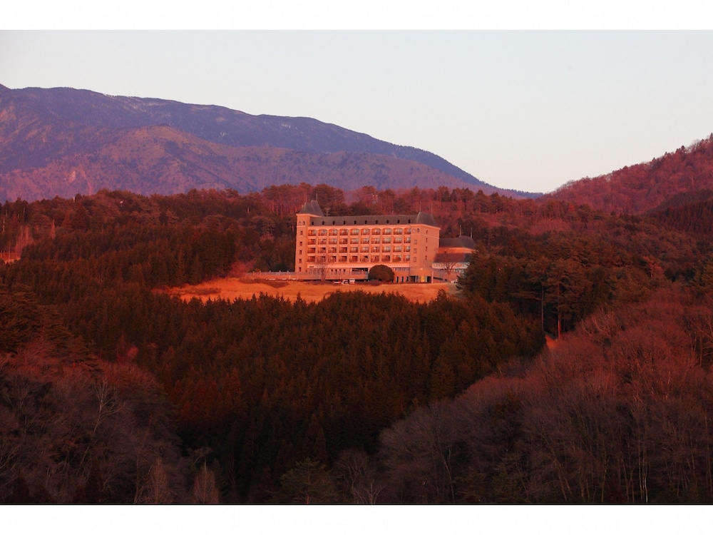 Hotel Windsor — hotel in Nakatsugawa