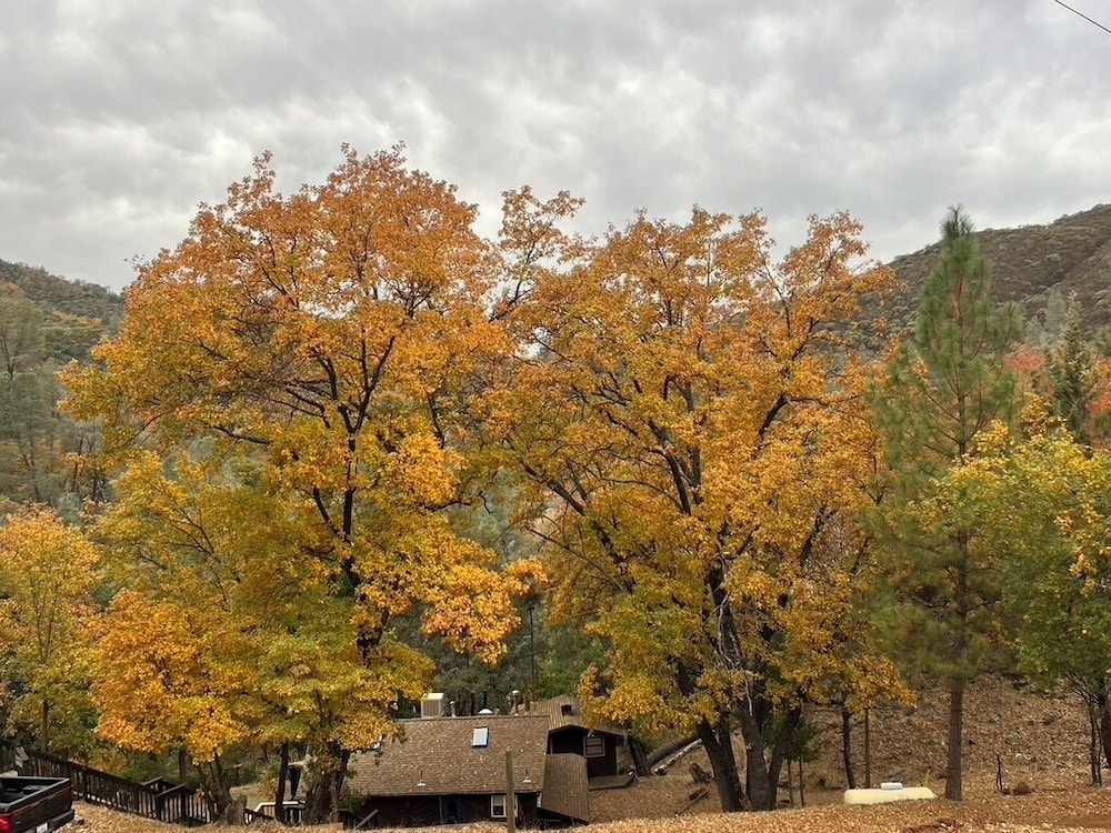 Yosemite Bug Rustic Mountain Resort - photo 140