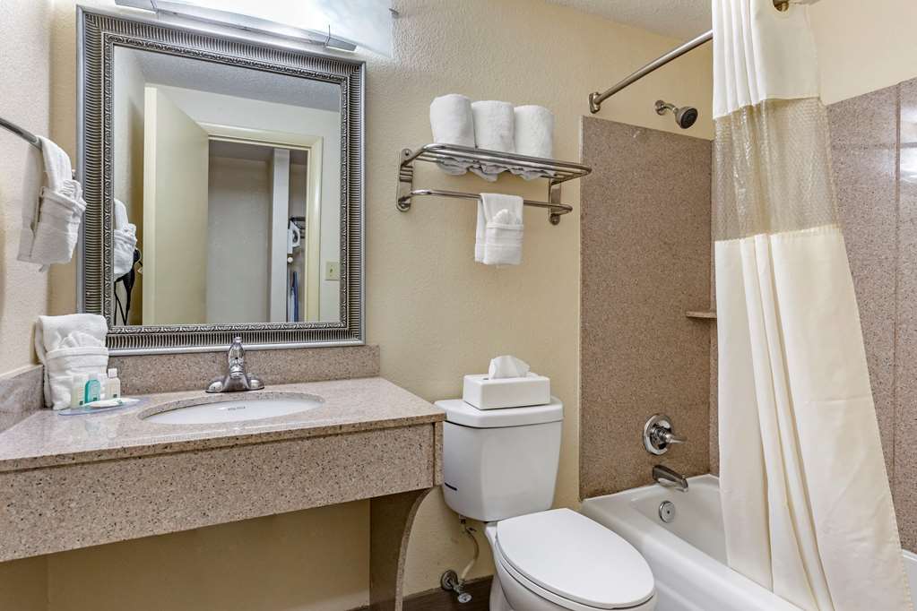 Quality Inn & Suites Greensboro High Point - photo 21