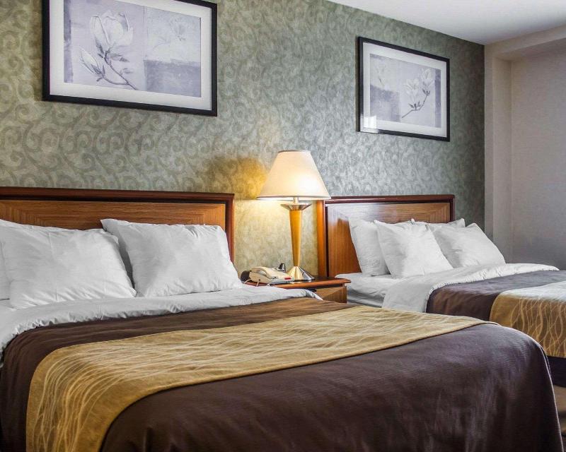 Comfort Inn Brooklyn - photo 22