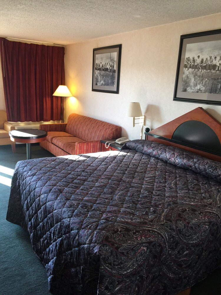 Shelaine Inn - photo 9