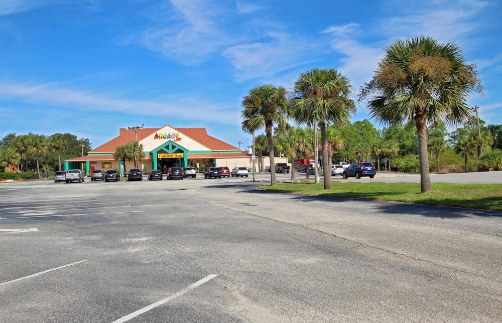 Palmetto 306 - photo 33