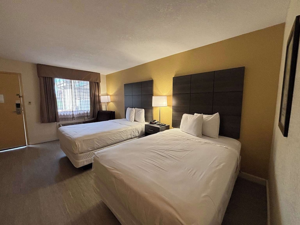 Studio 6 Suites Charlotte NC Northlake - photo 11