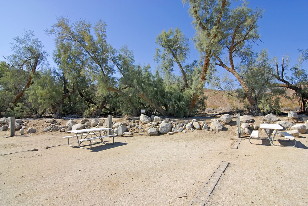 Palm Canyon Hotel & RV Resort - photo 20