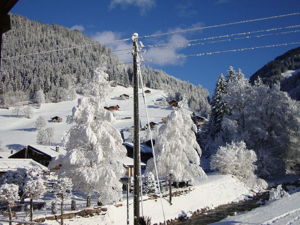 Bundb Wyssen Matten in Lenk, Switzerland
