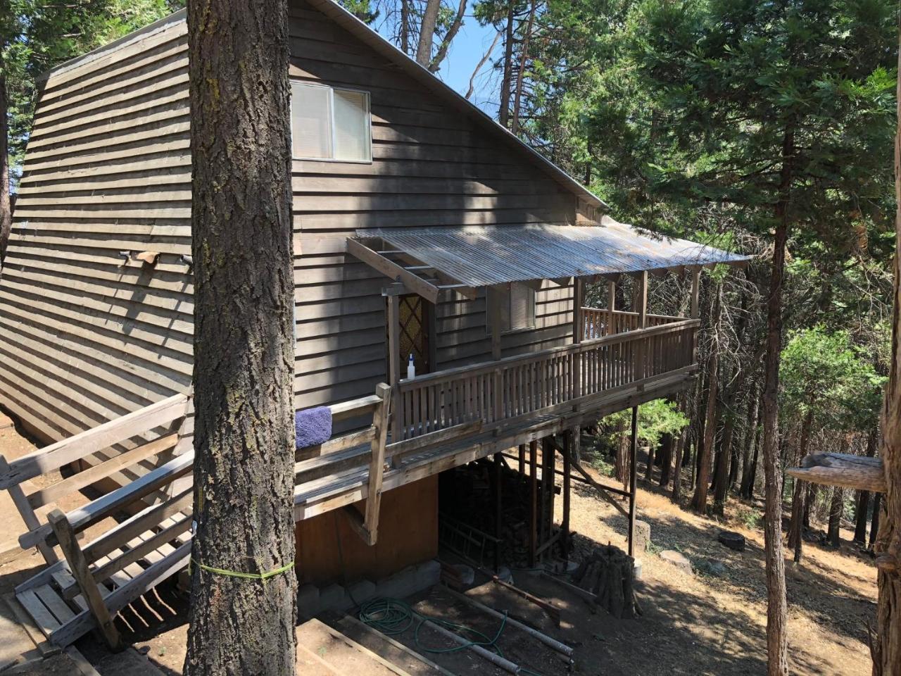Sequoia National Forest CabinK - last minute hotel in Unknown City