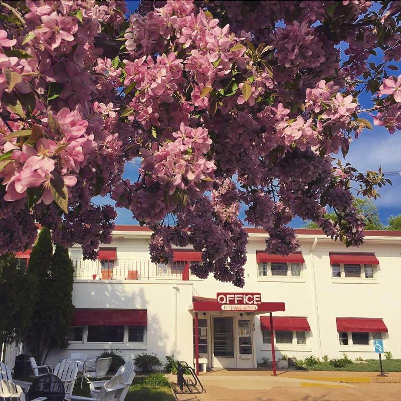 Holiday Music Motel - photo 8