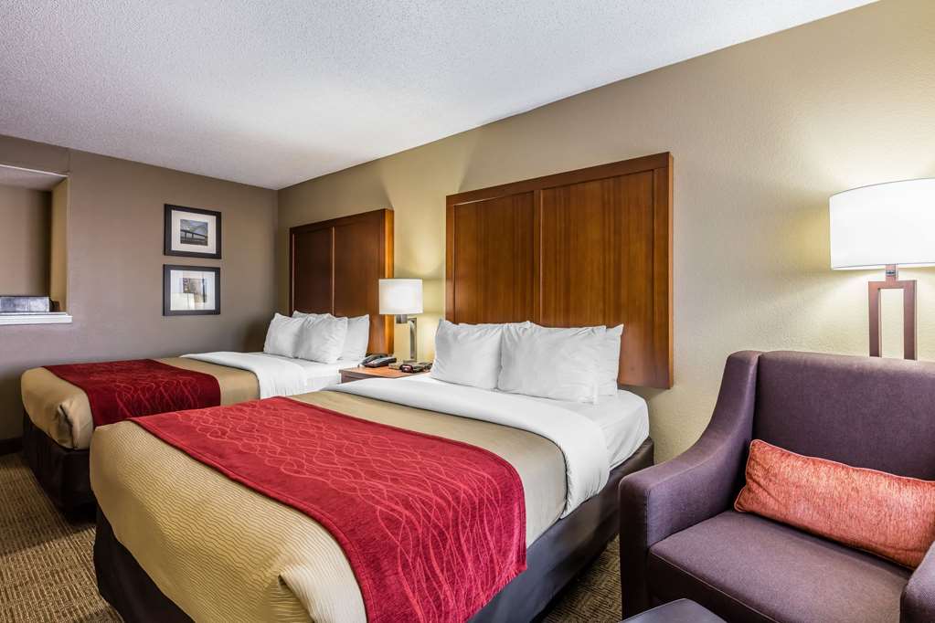 Comfort Inn & Suites Airport American Way - photo 8