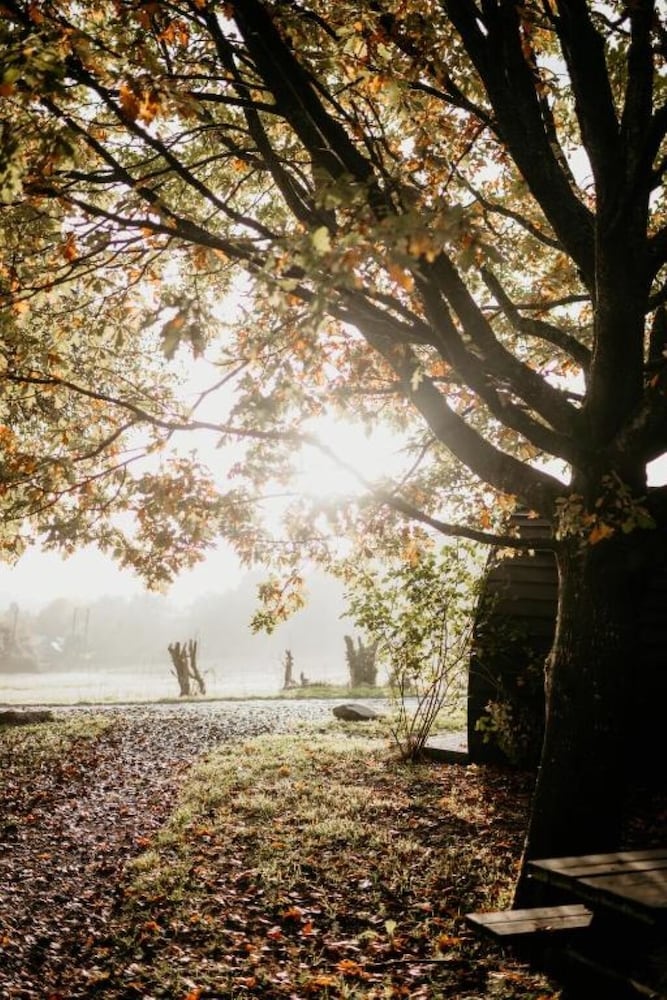 Caplor Glamping & Lodges in Hereford, United Kingdom