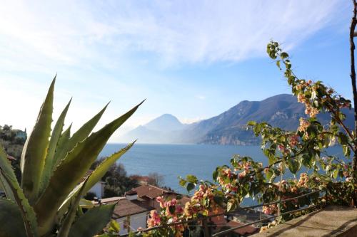 Le Due Terrazze — Brenzone — photo 3