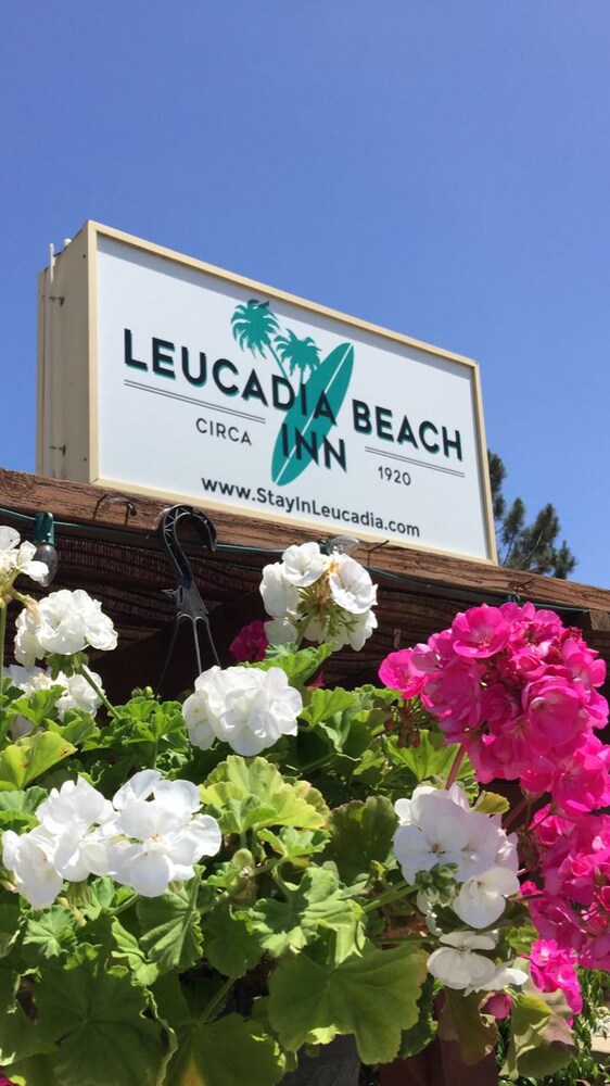 Leucadia Beach Inn - photo 49