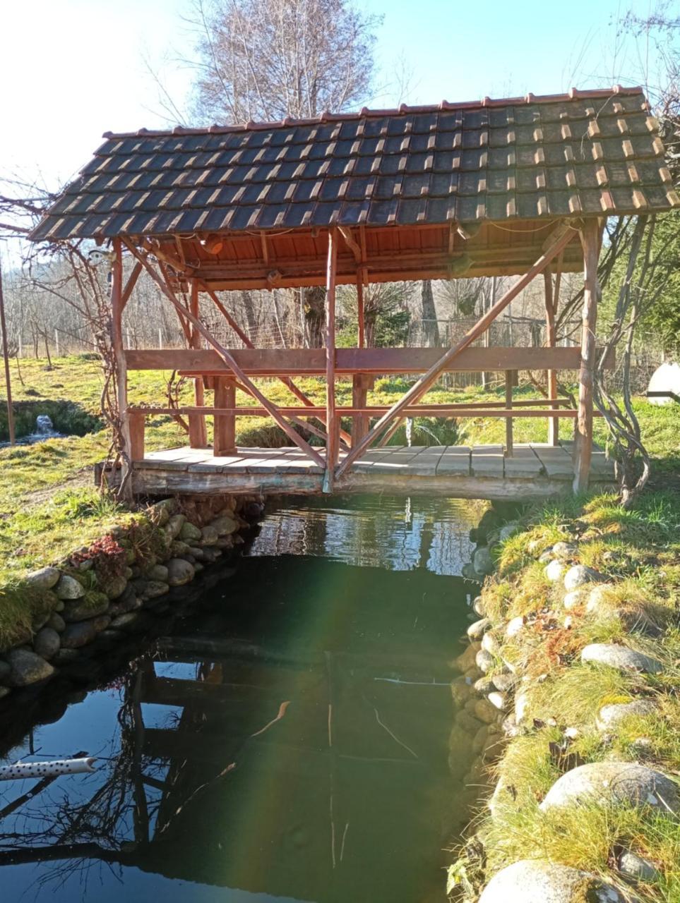 Pescarie la Nelu in Rau De Mori, Romania