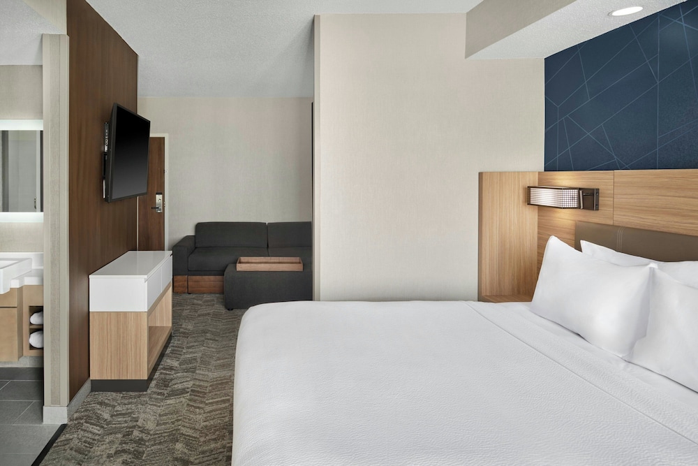 SpringHill Suites by Marriott Lansing - photo 18