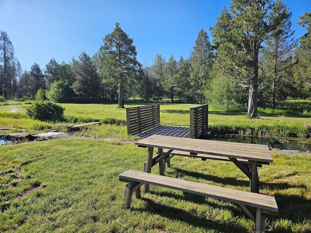 The Black Forest Lodge - photo 30