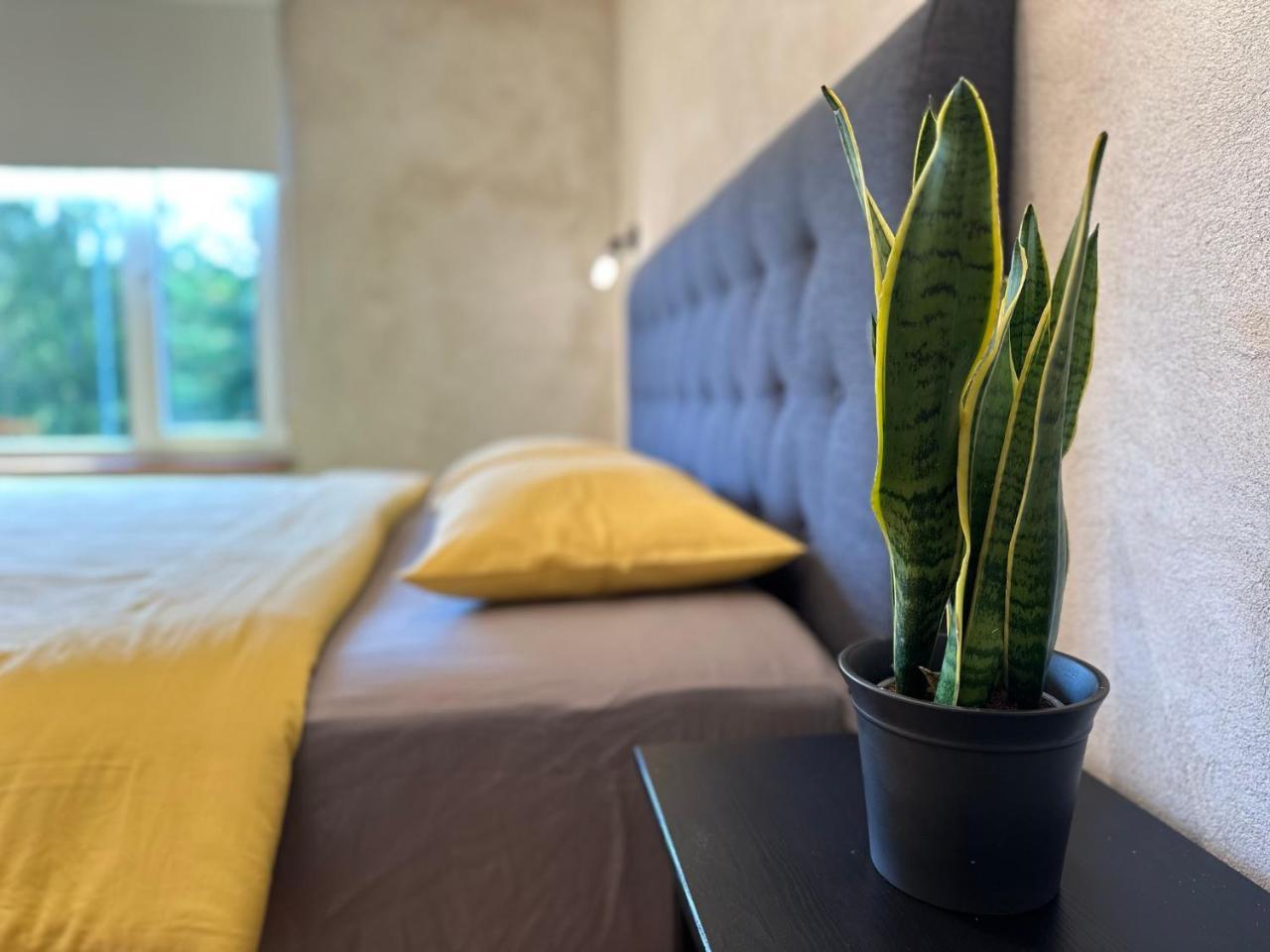 Magical two bedroom apartment in Viljandi — Viljandi — photo 2