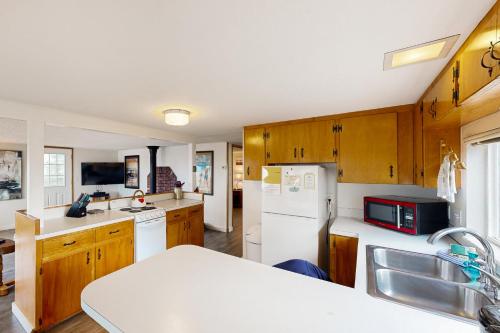 Whale Watch in Lincoln, United States