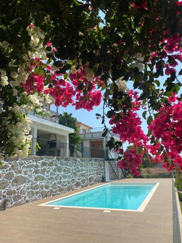 Casa do Laranjal — 4-Star Luxury Hotel in Esposende, Portugal
