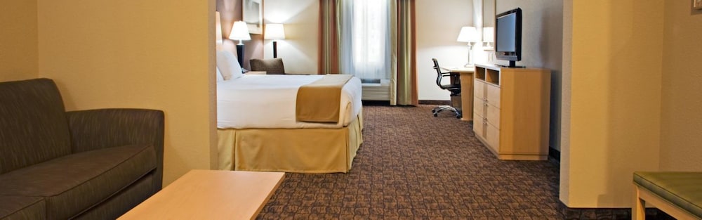 Holiday Inn Express & Suites Borger by IHG - photo 3