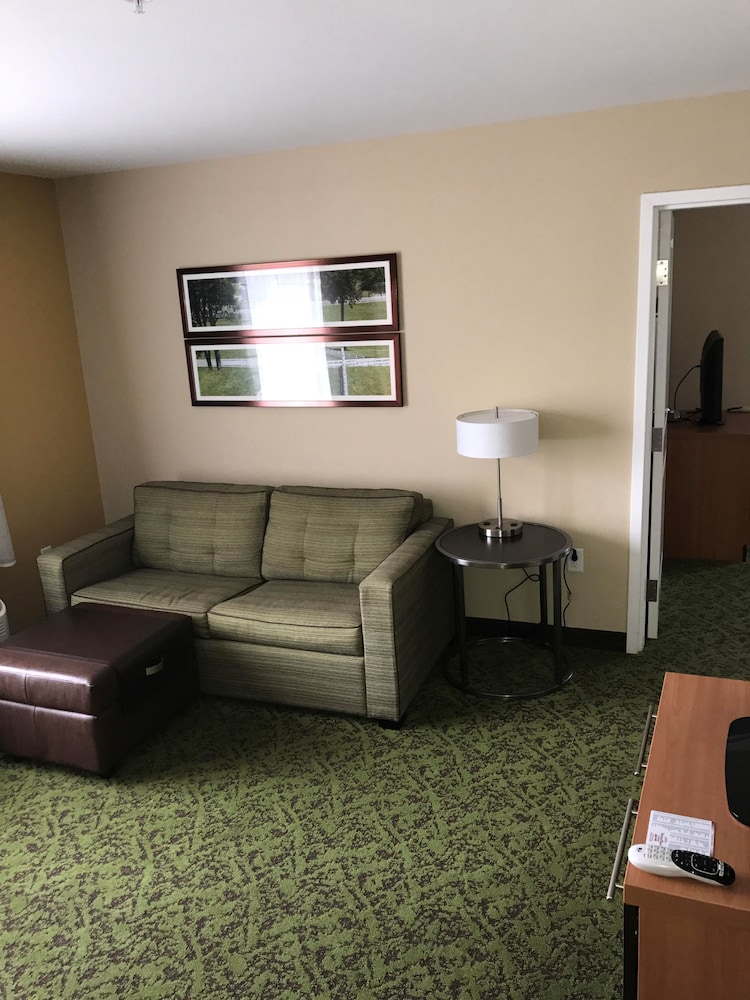TownePlace Suites by Marriott Lexington South Hamburg Place - photo 14