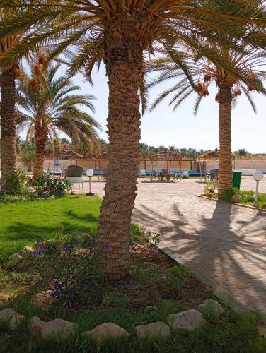 Garden12 Outdoor & More in Douz, Tunisia