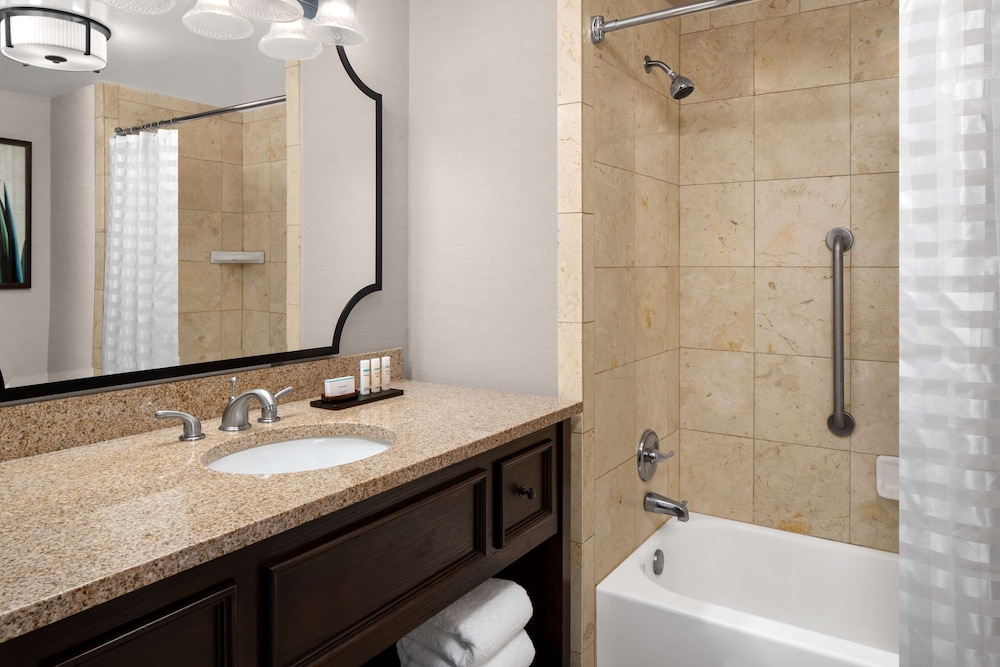 Embassy Suites San Antonio Riverwalk Downtown - photo 24