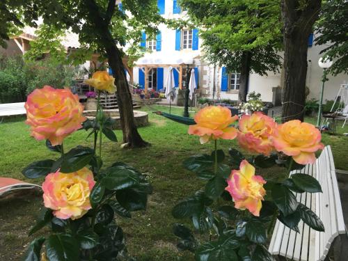 La Vie en Roses - carbon neutral hotel in Unknown City