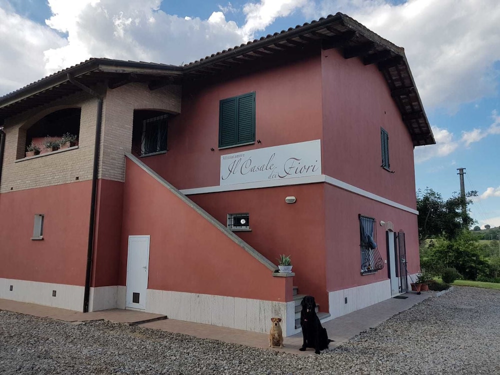 Il Casale Dei Fiori in Civitella Marittima, Italy