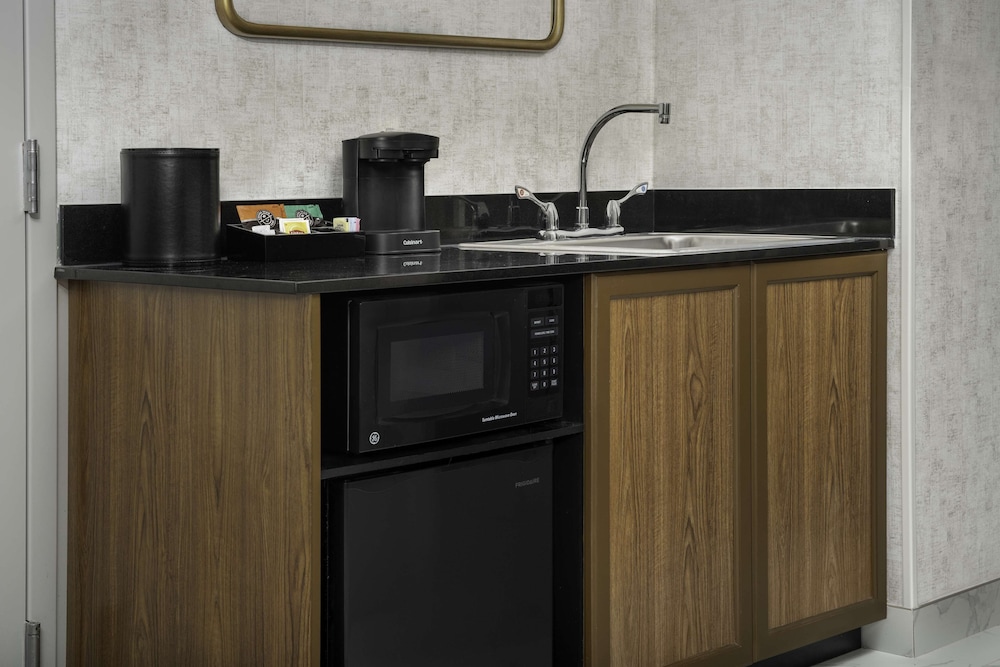 Embassy Suites by Hilton Dulles North Loudoun - photo 10