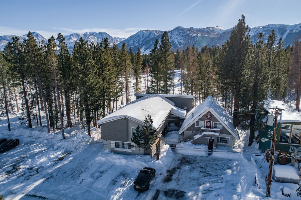 Cinnamon Bear Inn - photo 123