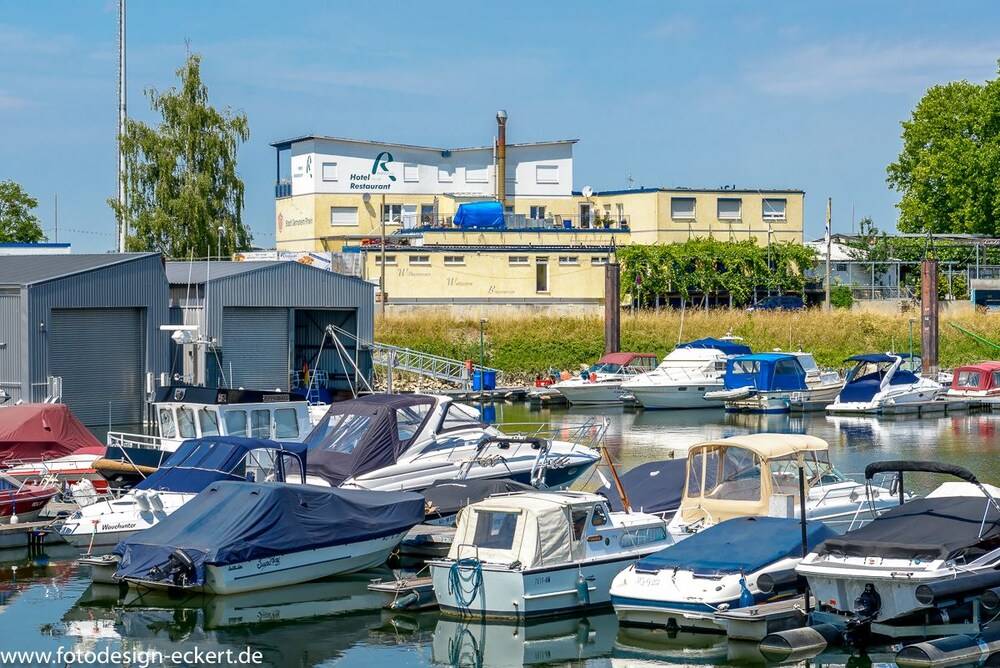 Hotel Rheingold — Gernsheim — photo 2