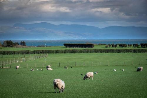 Ty Bach Llanbedrog - last minute hotel in Pwllheli