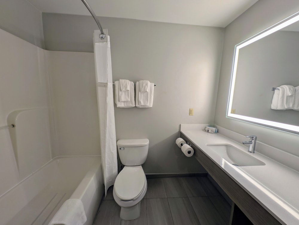 Holiday Inn Express & Suites Carbondale University Area by IHG - photo 14