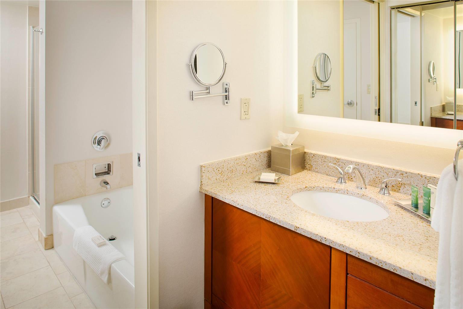 Wyndham Atlanta Perimeter - photo 17
