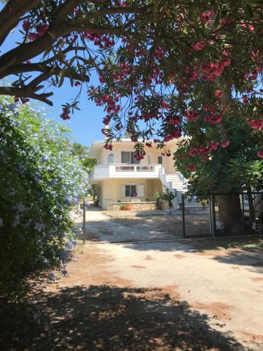 Sxinias Resort — Marathonas