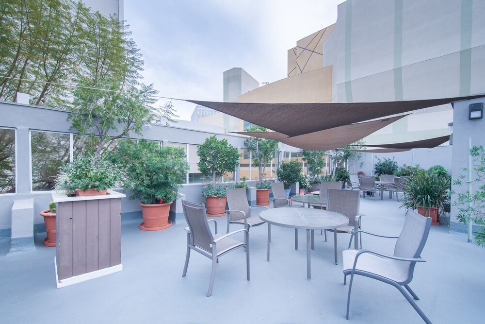 Hollywood Orchid Suites - photo 28