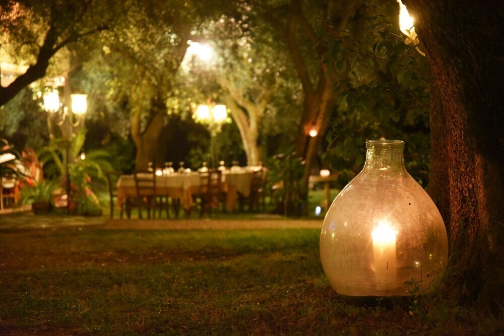 Antico Uliveto in Seravezza, Italy