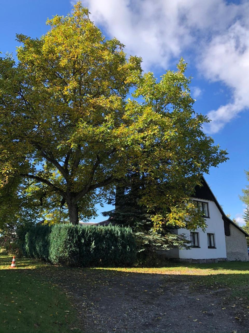 Utulna Chaloupka V Krkonosich in Vysoke Nad Jizerou, Czech Republic