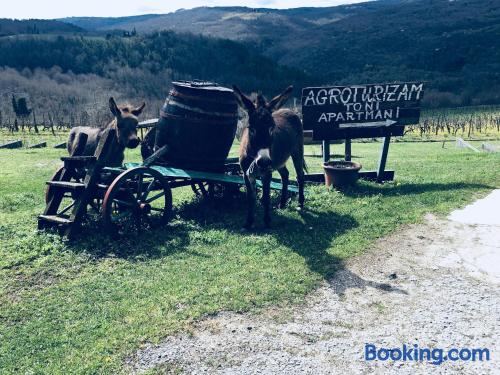 Agroturizam Toni — 4-Star Luxury Hotel in Motovun, Croatia