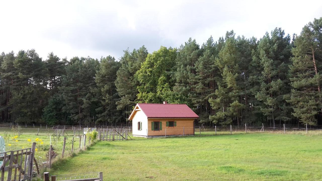 Agroturystyka Polana Harmonii — hotel in Przytoczna
