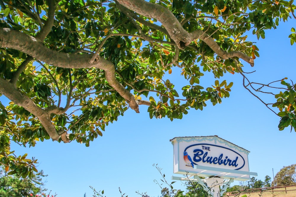 Bluebird Inn - carbon neutral hotel in Cambria