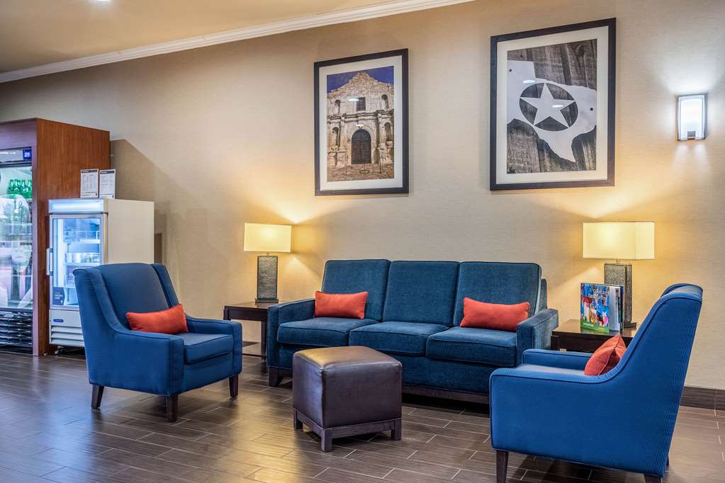 Comfort Suites Near Texas State University - photo 3