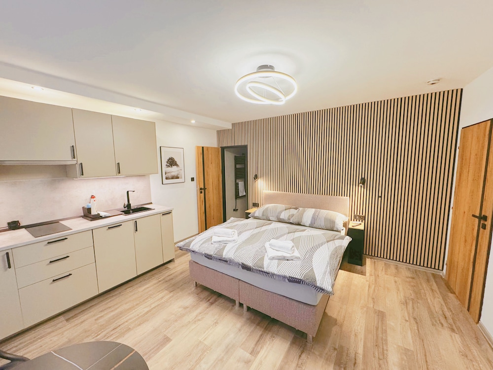 Ubytování v Brně - last minute hotel in Brno