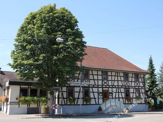 Hotel Grüner Baum in Rastatt, Germany