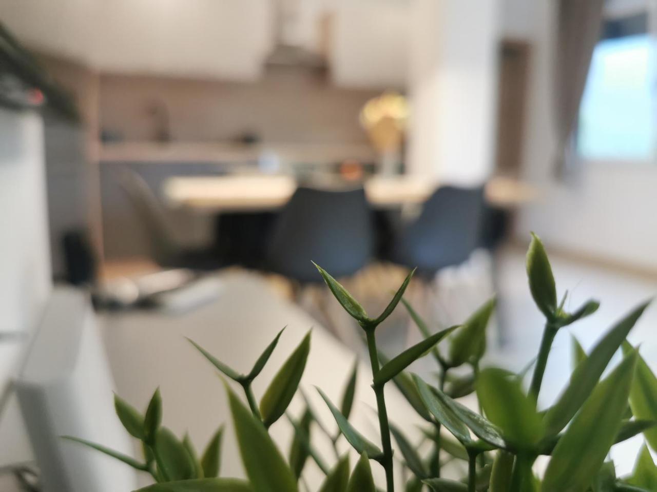 Apartma Bella Nadiža — 4-Star Luxury Hotel in Kobarid, Slovenia