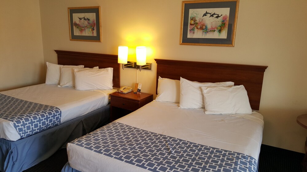 Flamingo Inn - photo 6