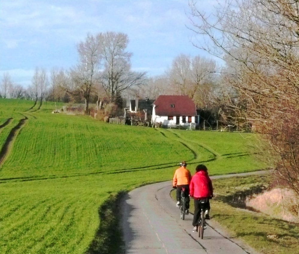 Hausboot in Barth am Barther Bodden — hotel in Barth