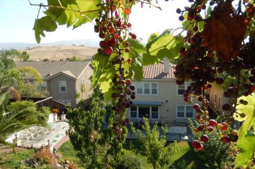 Beautiful Home in Quiet Area — 4-Star Luxury Hotel in San Jose, United States