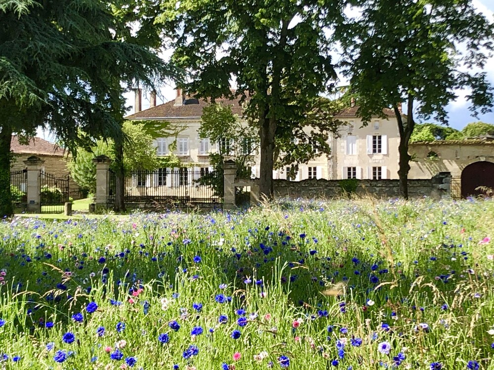 Cha Teau Rouge 47 — hotel in Sainte-Bazeille