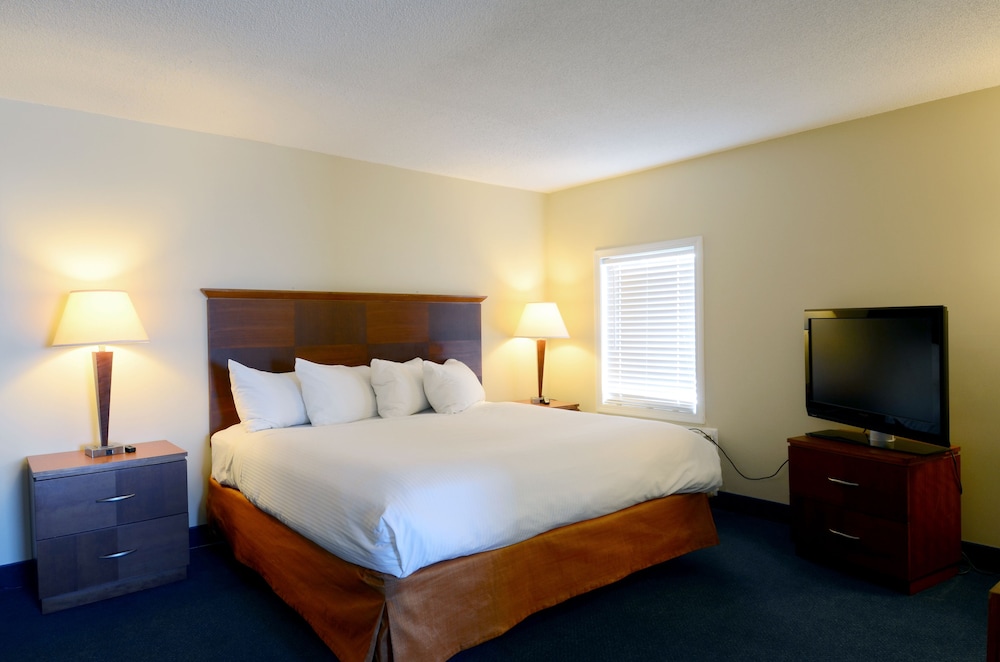 Hampton House Hotel - photo 19