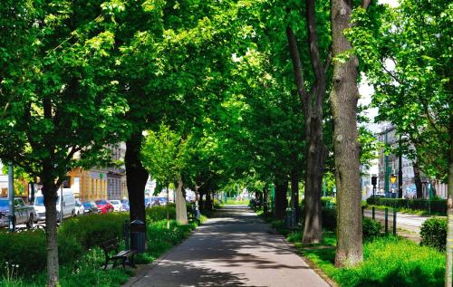 Good Place — 4-Star Luxury Hotel in Krakow, Poland
